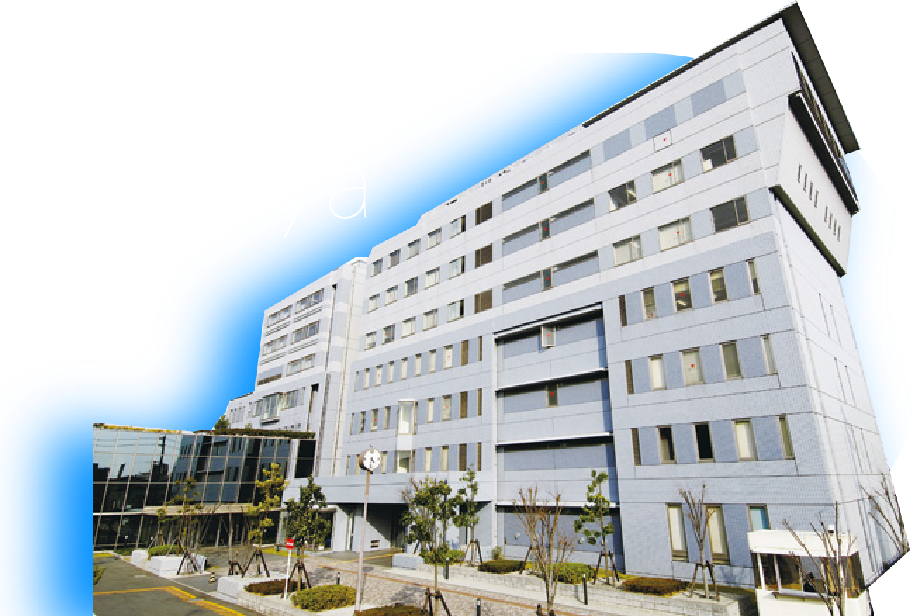 Shoya